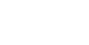 logo salitre magico