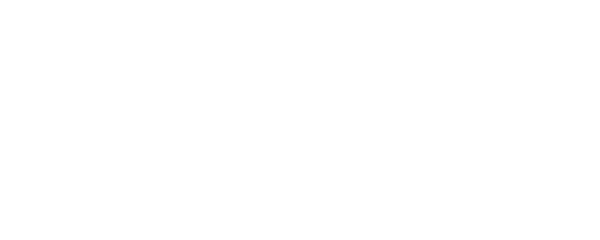 VIZIONA LOGO
